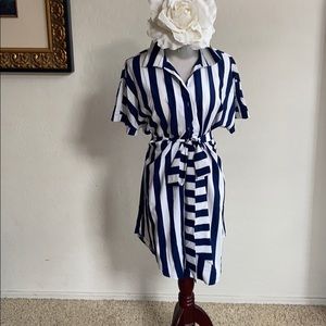Navy Blue Striped Button Down Shirt Dress (2XL)